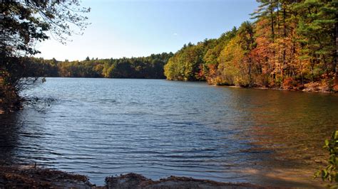 walden pond twitter